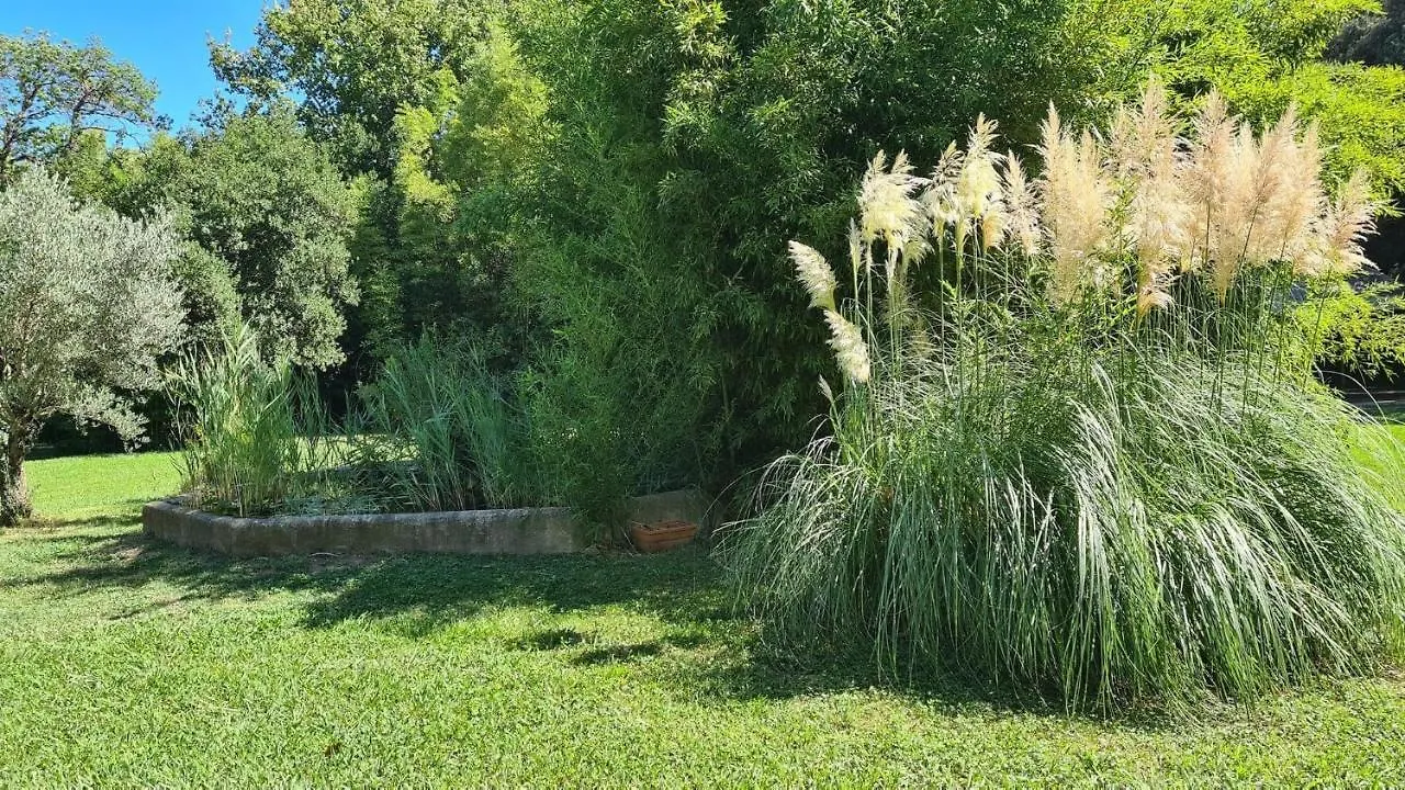 La Bambouseraie De Sulauze Miramas Homestay